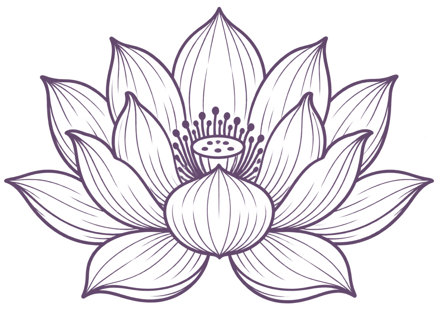 Purple lotus blossom